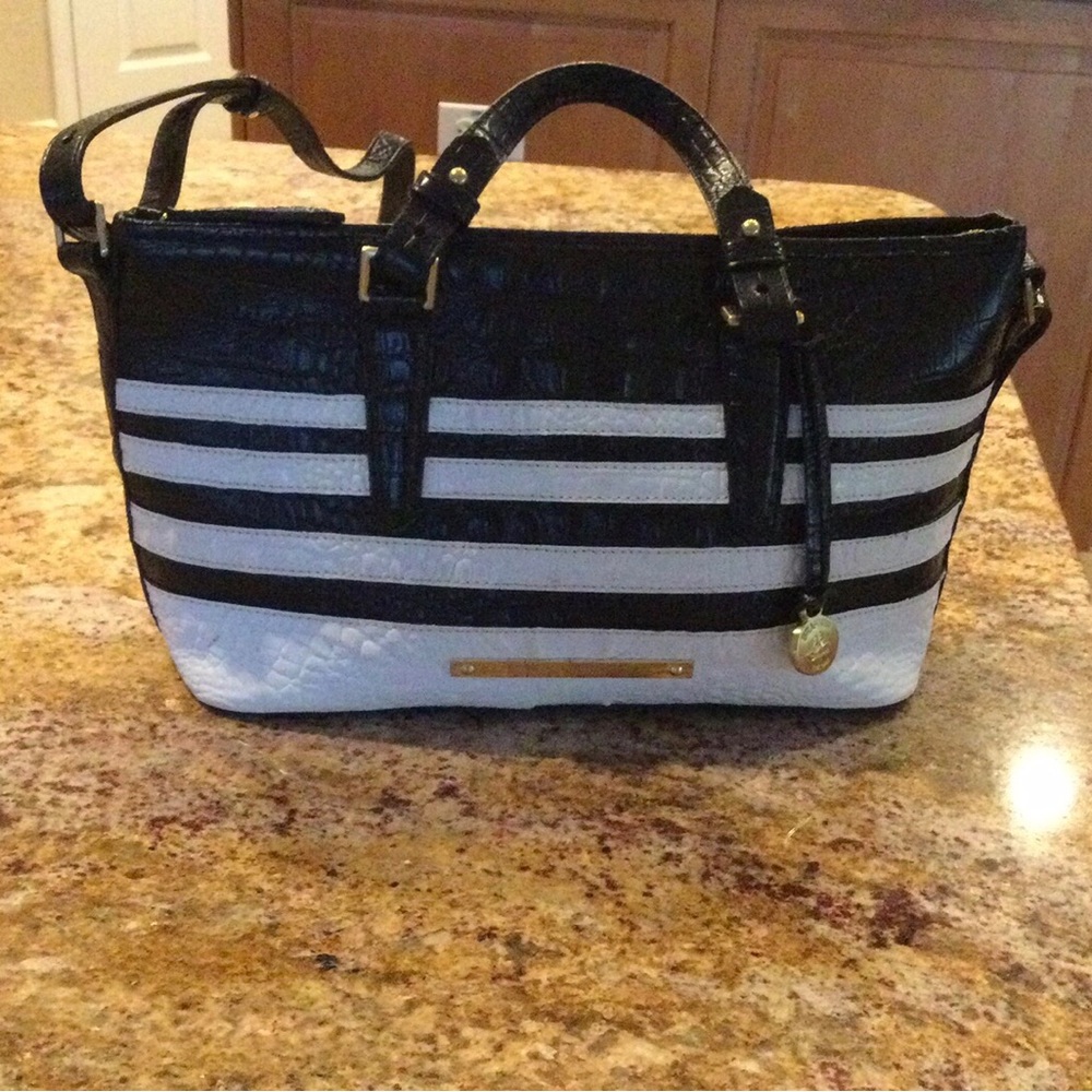 Brahmin asher black and white